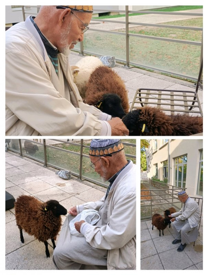 actualité EHPAD SEDNA