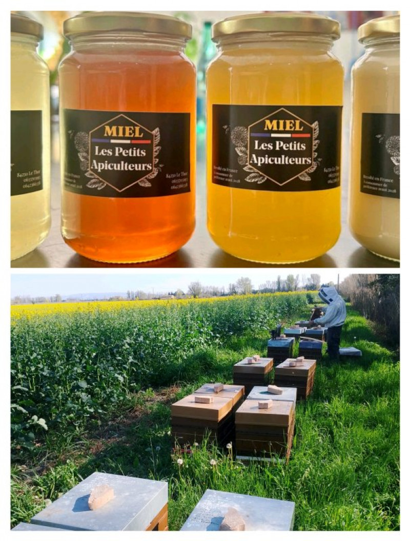 actualité EHPAD SEDNA