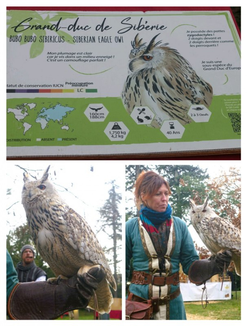 actualité EHPAD SEDNA