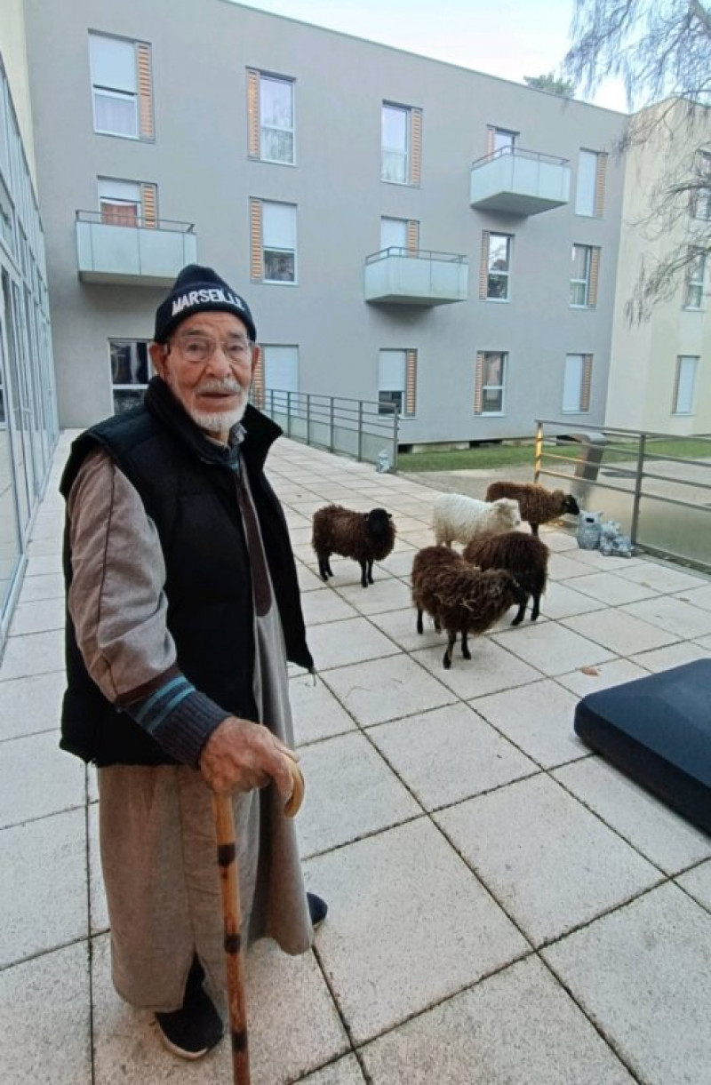 actualité EHPAD SEDNA