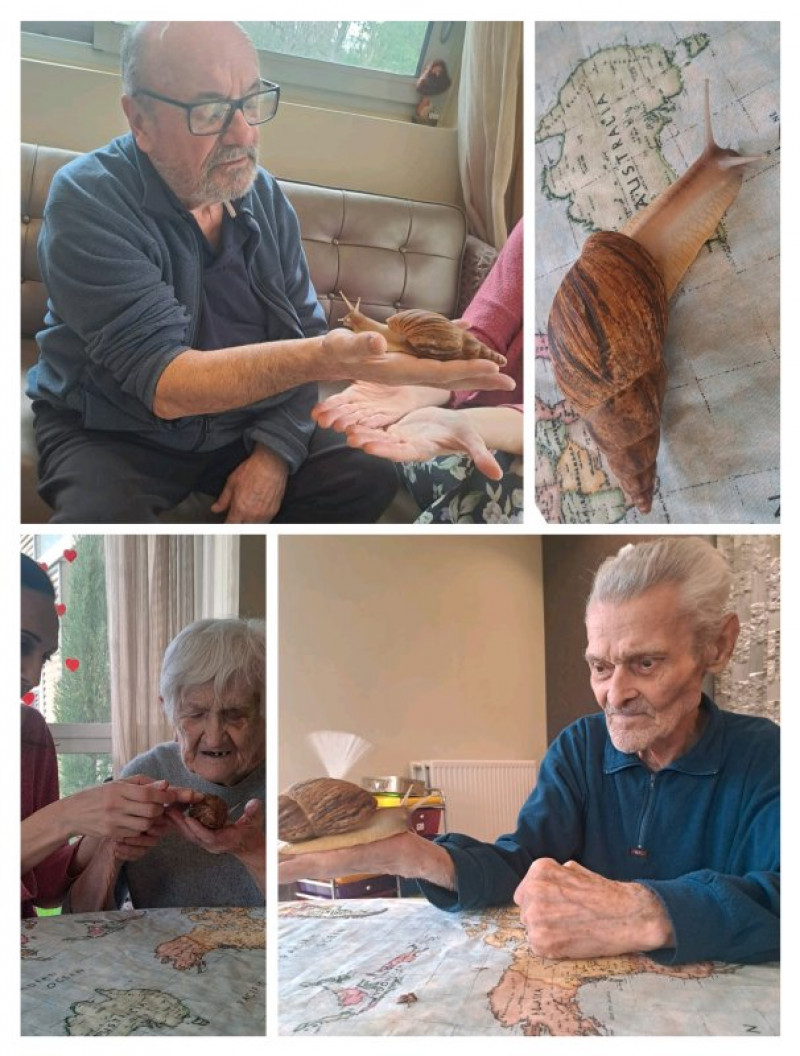 résidence médicalisée SEDNA France