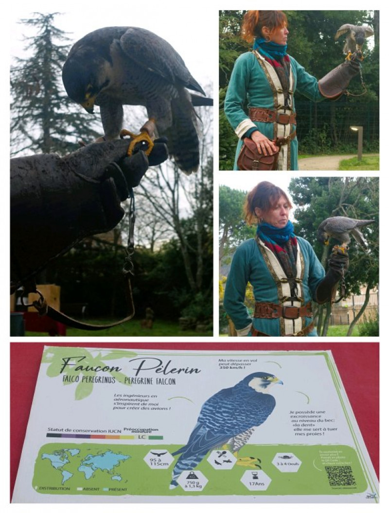 actualité EHPAD SEDNA