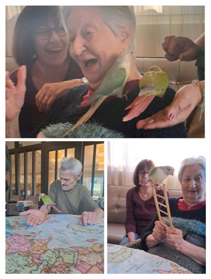 actualité EHPAD SEDNA