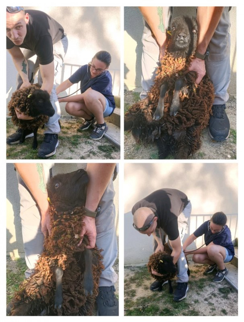 résidence médicalisée SEDNA France