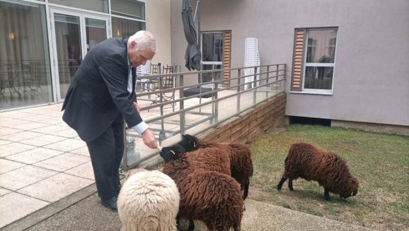 actualité EHPAD SEDNA