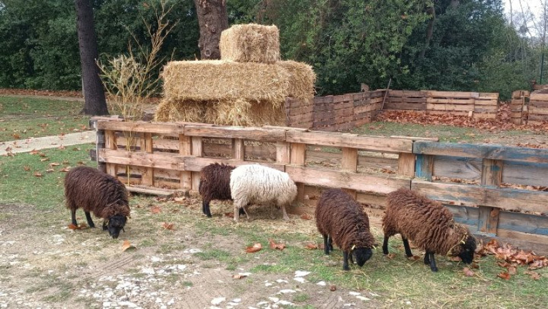 actualité EHPAD SEDNA