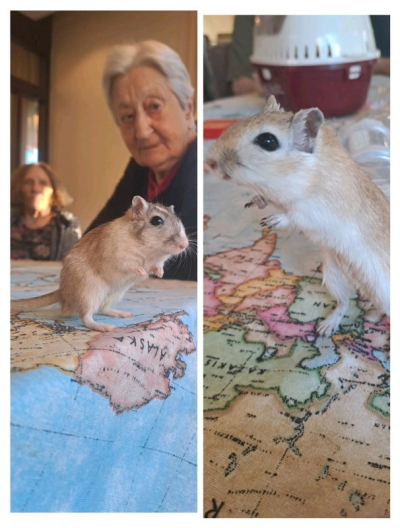 actualité EHPAD SEDNA