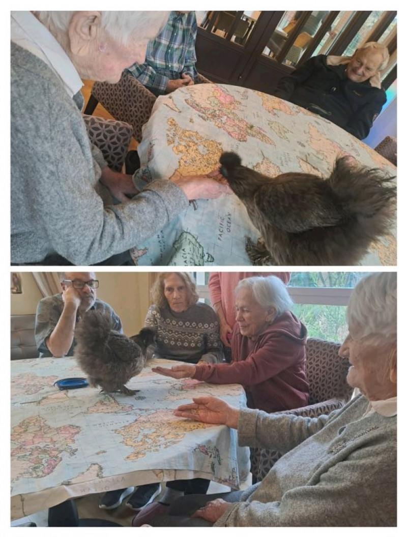 actualité EHPAD SEDNA