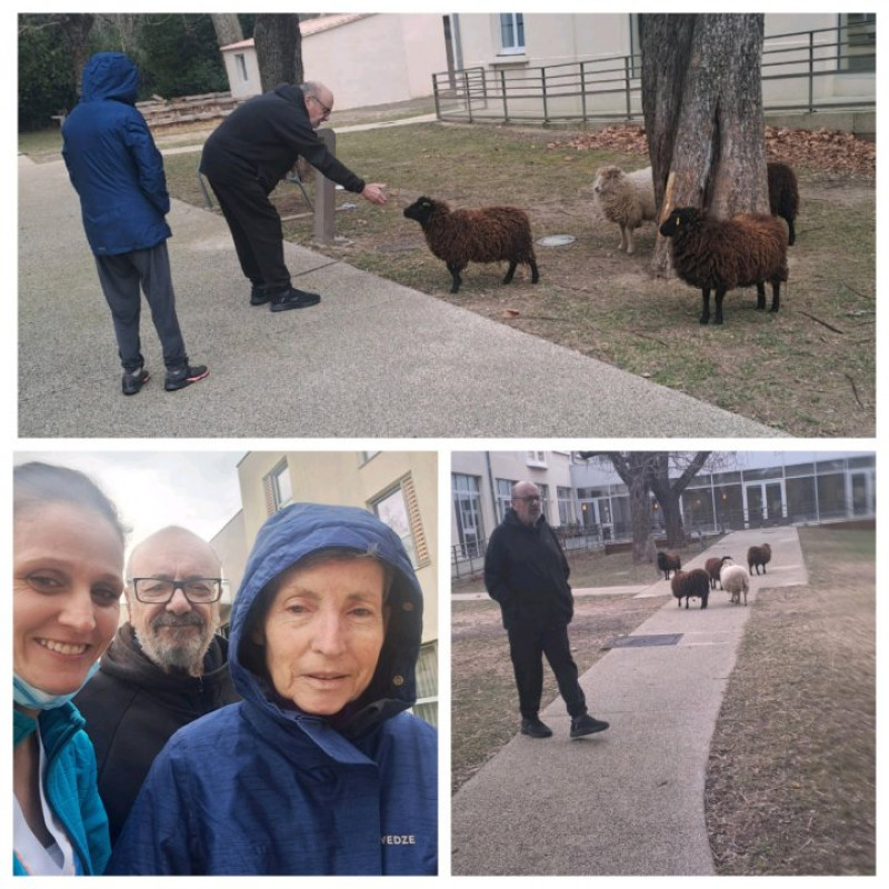 actualité EHPAD SEDNA