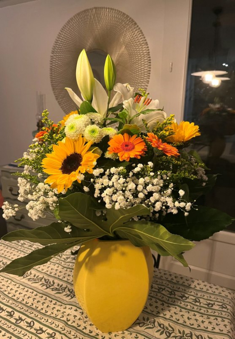 actualité EHPAD SEDNA