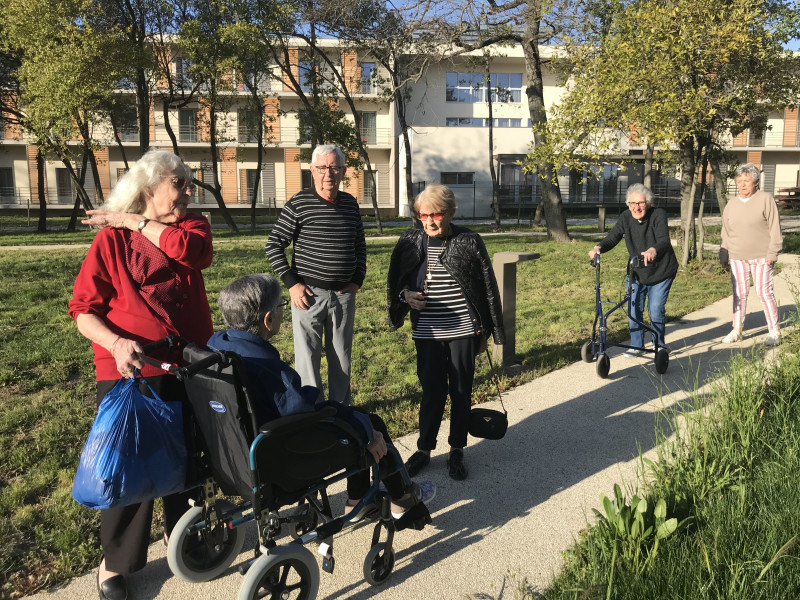 Promenade dans le parc :