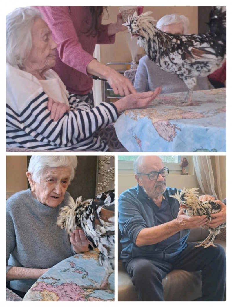 résidence médicalisée SEDNA France