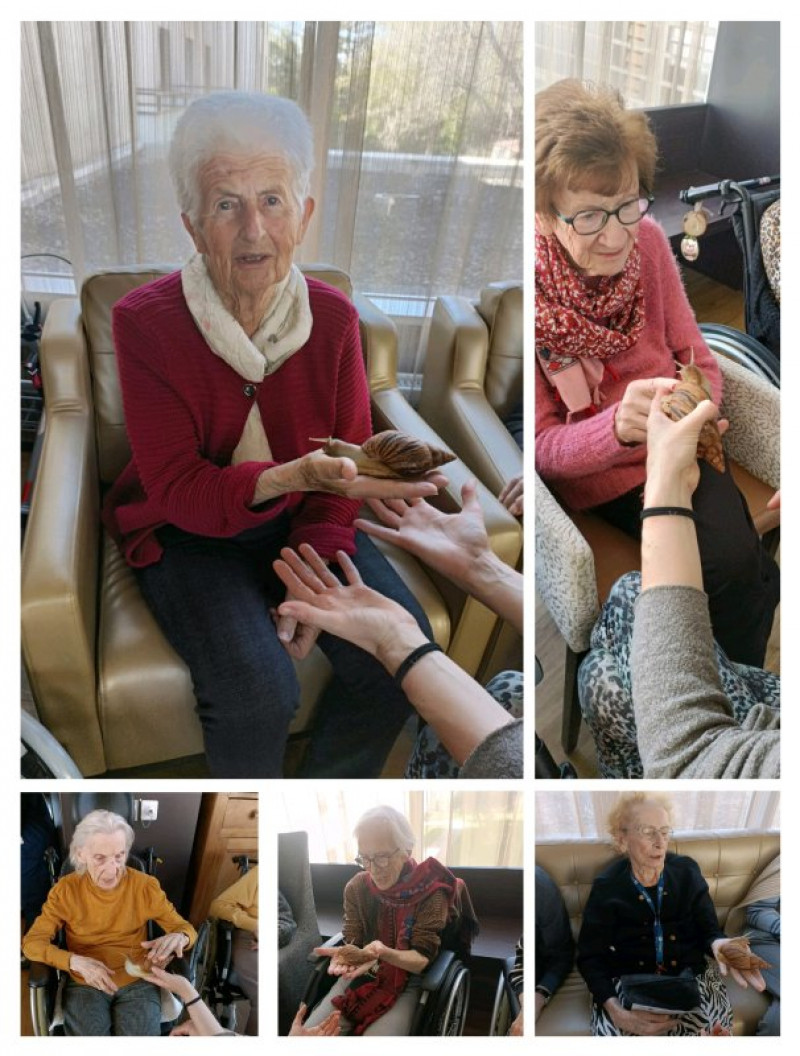 actualité EHPAD SEDNA