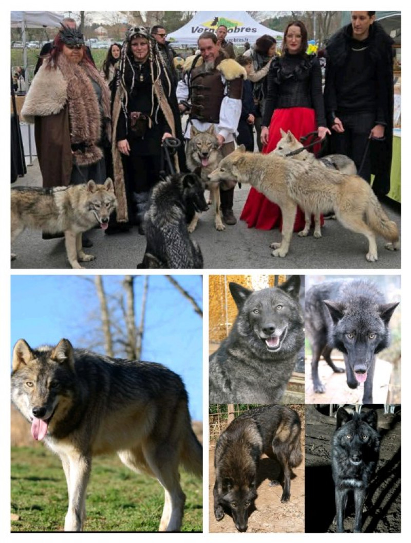 actualité EHPAD SEDNA