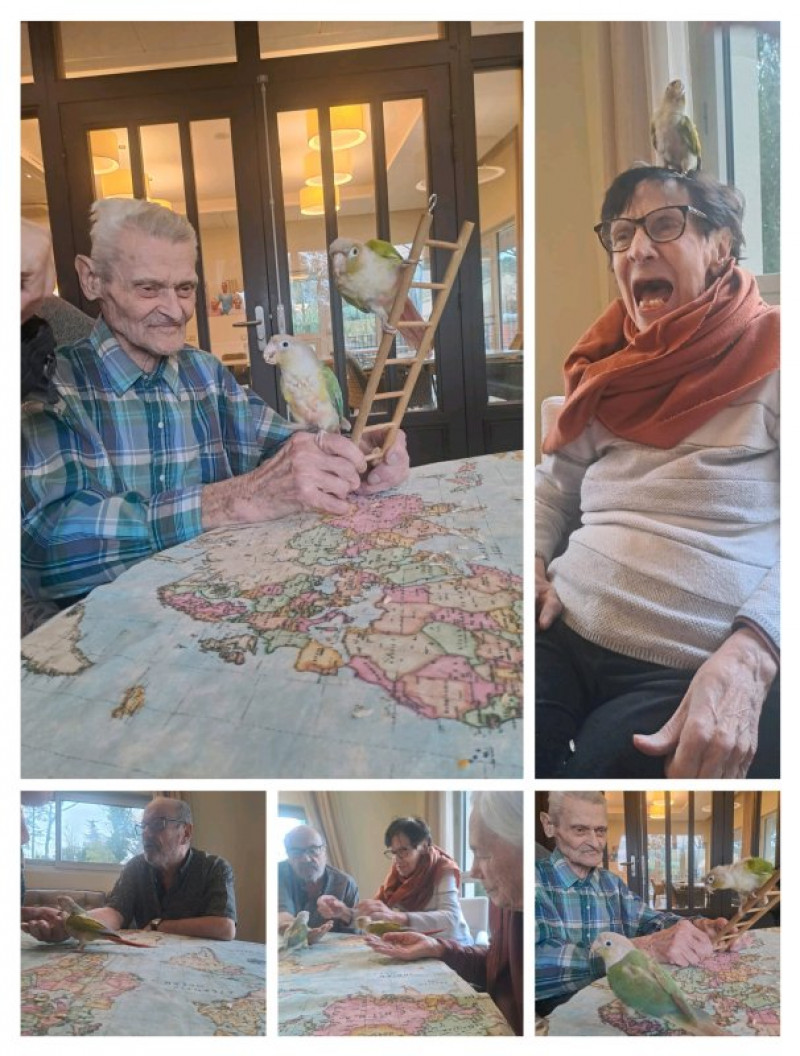 actualité EHPAD SEDNA