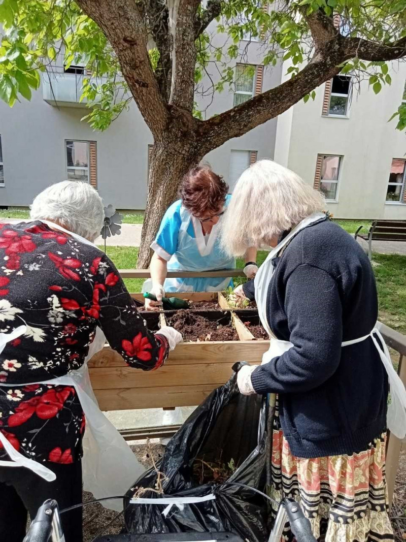 actualité EHPAD SEDNA