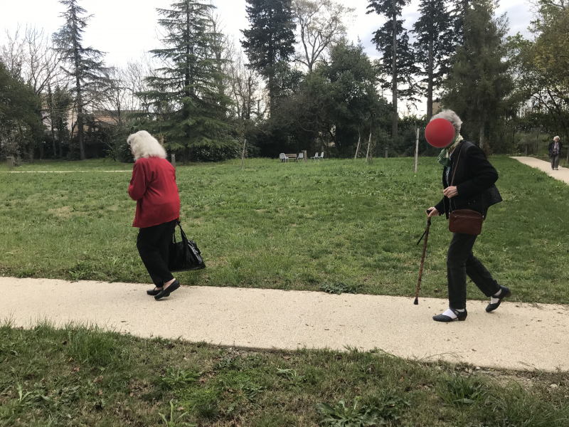 Ballade dans le parc :