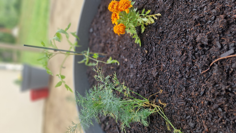Moment Jardinage avec Etienne