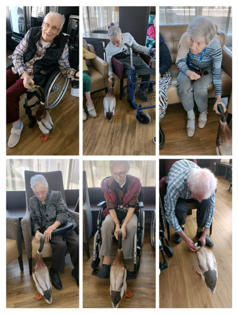 actualité EHPAD SEDNA