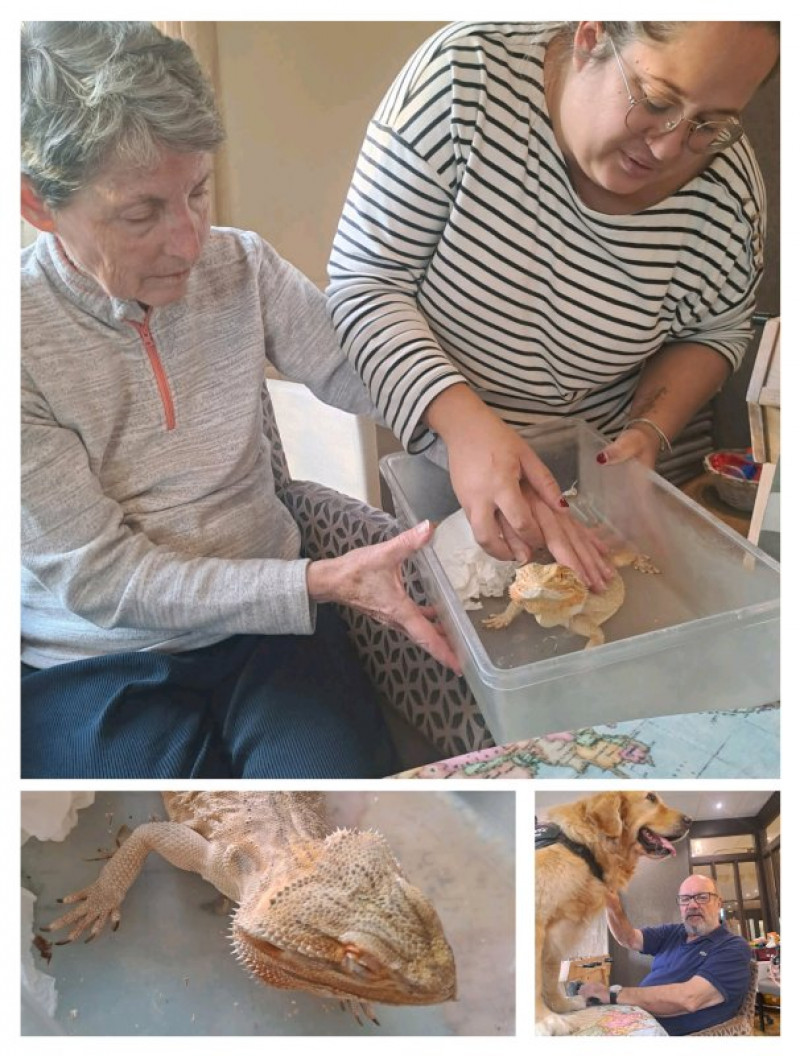 actualité EHPAD SEDNA