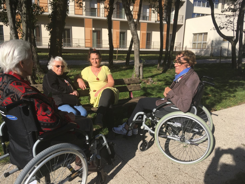 Une ballade dans le parc :