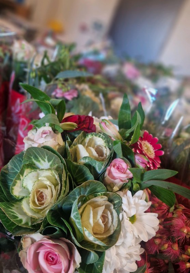 actualité EHPAD SEDNA