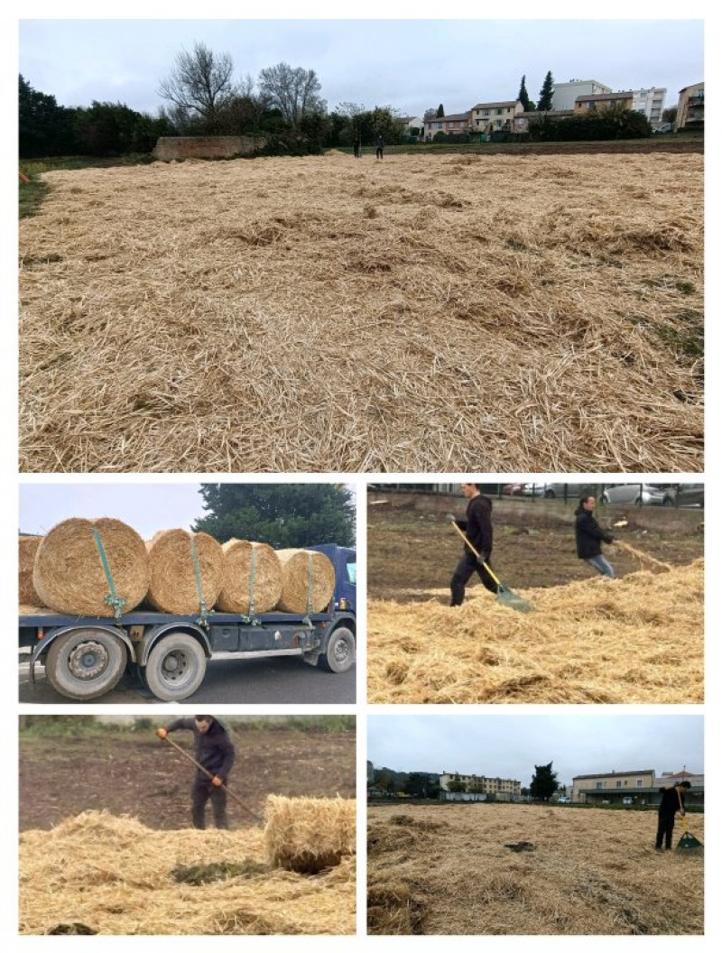 actualité EHPAD SEDNA