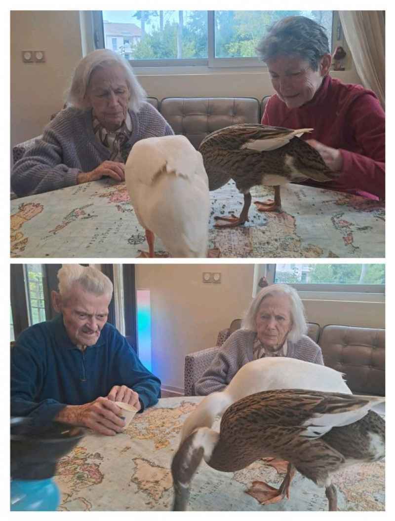 actualité EHPAD SEDNA