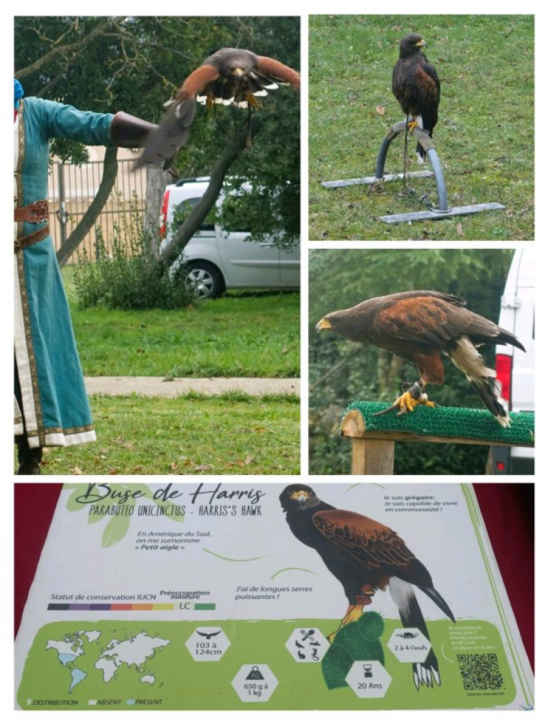 actualité EHPAD SEDNA