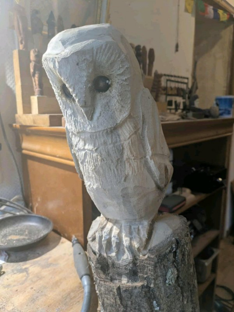 actualité EHPAD SEDNA