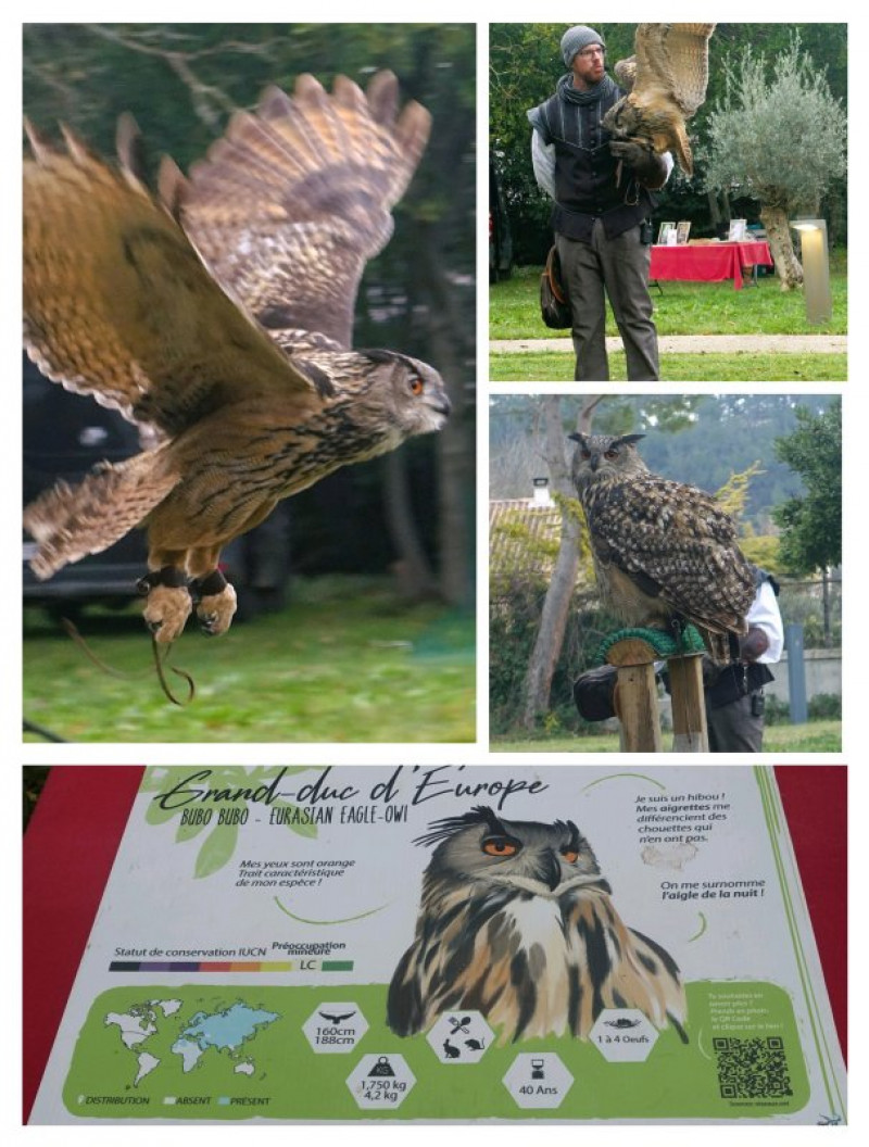 actualité EHPAD SEDNA