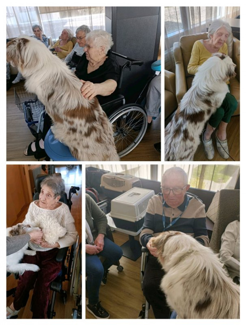 actualité EHPAD SEDNA