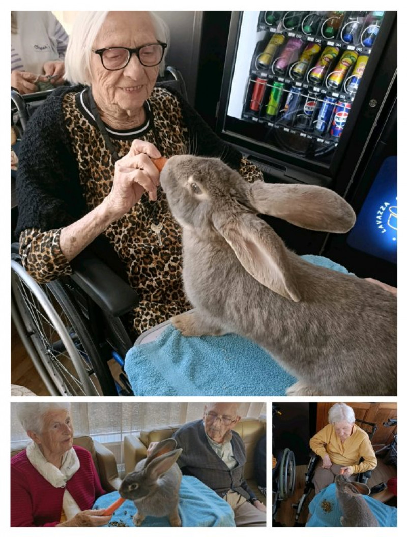 actualité EHPAD SEDNA