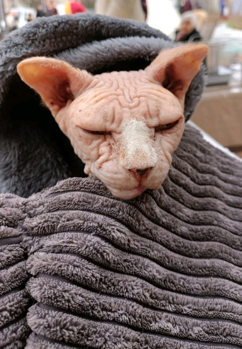 actualité EHPAD SEDNA