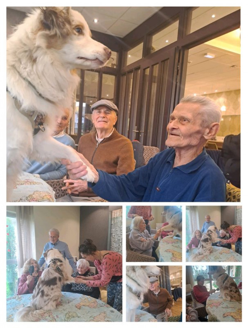 actualité EHPAD SEDNA