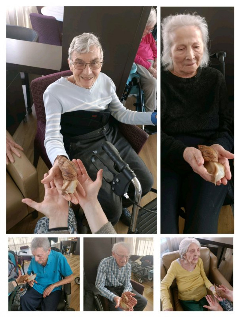 actualité EHPAD SEDNA