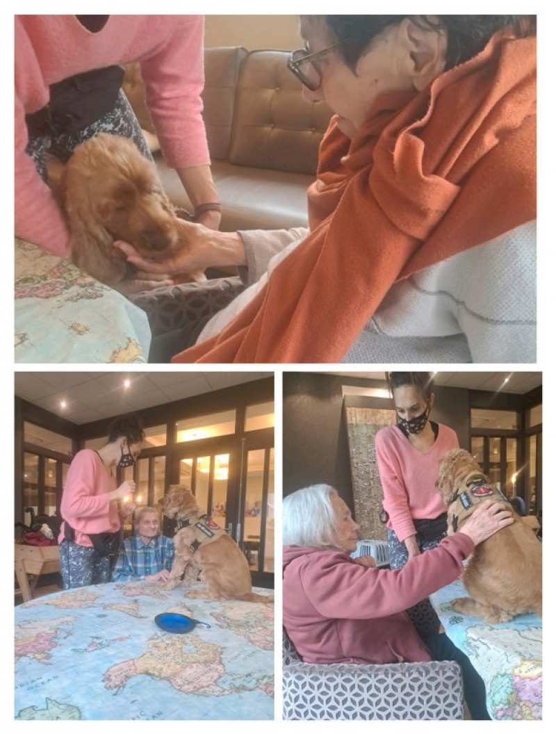 actualité EHPAD SEDNA