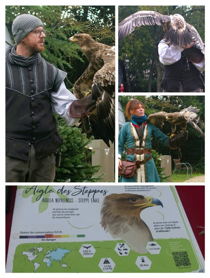 actualité EHPAD SEDNA