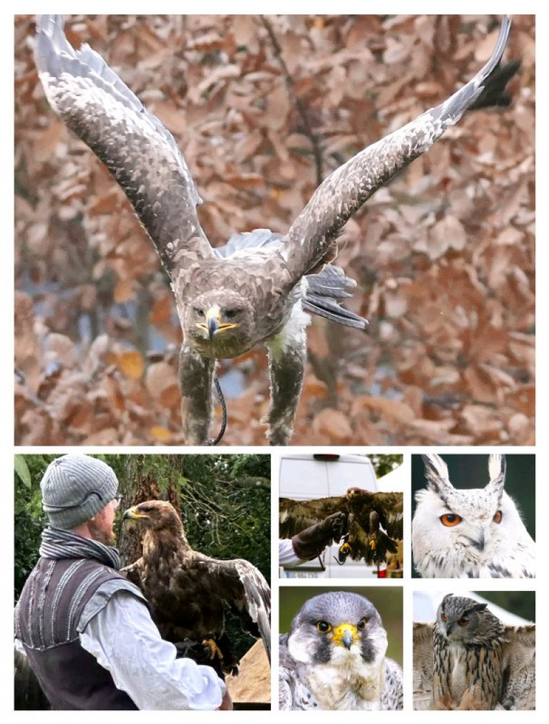 actualité EHPAD SEDNA