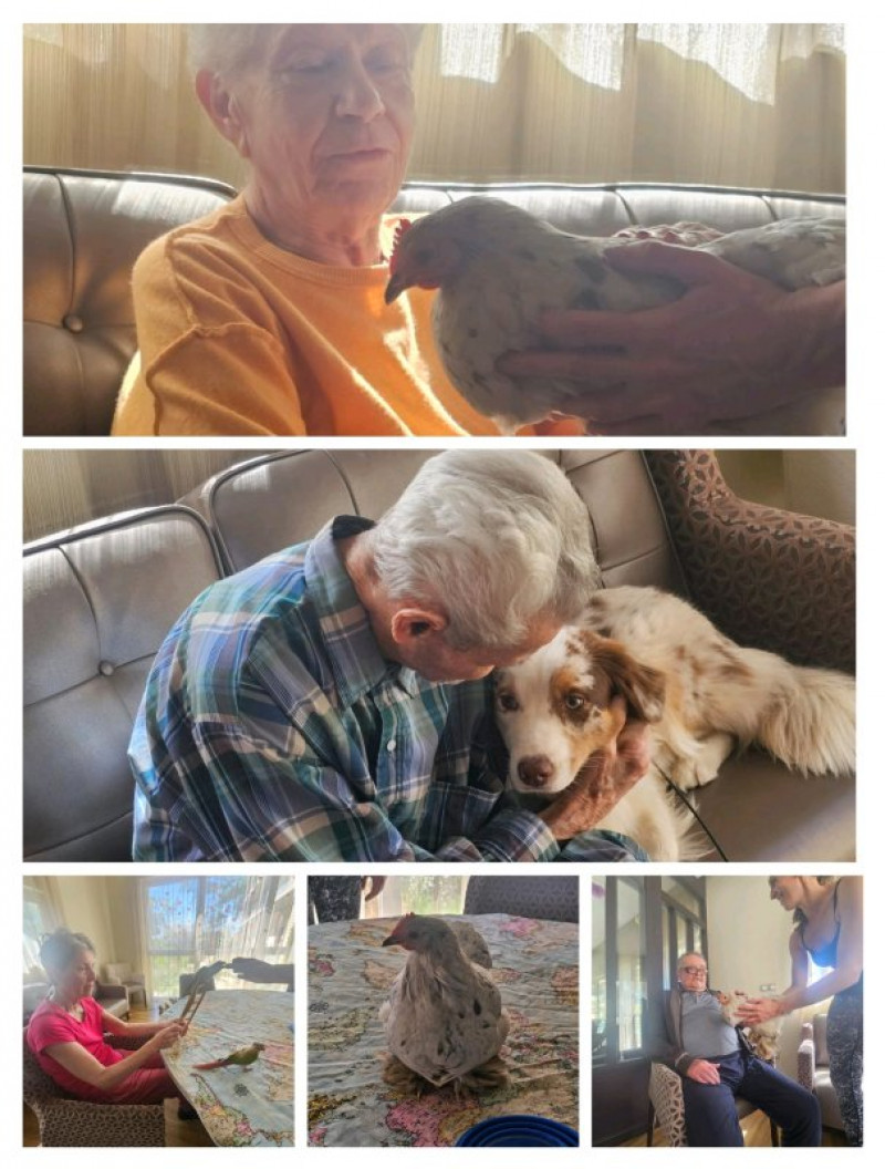 résidence médicalisée SEDNA France